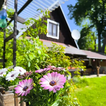Privat Evi 166 Lejlighed Nizna Boca